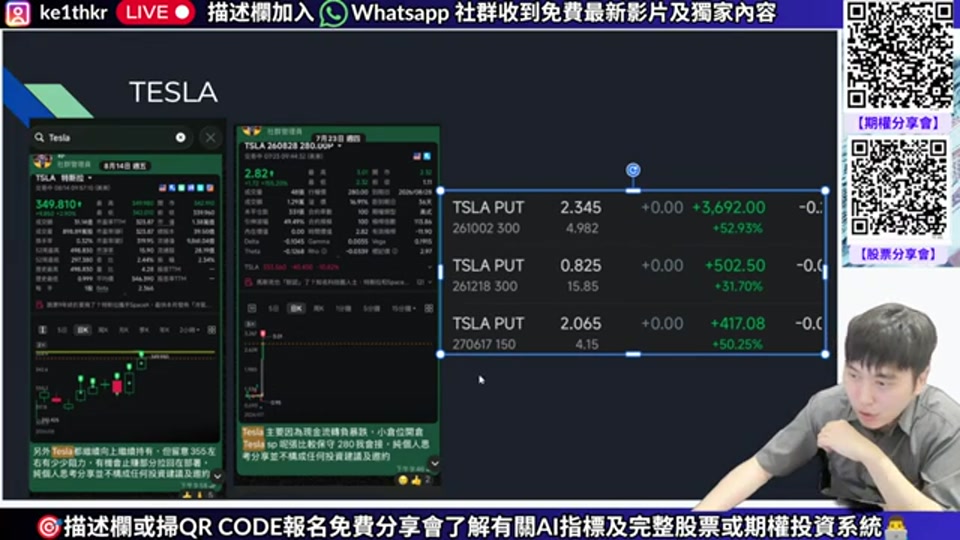 Tesla 期權持倉展示