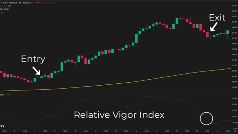 SOL/USDT 4 小時圖上的進場與出場示範，下方副圖為 RVI