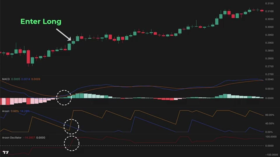 Aroon ＋ MACD 策略的好倉進場示範，三個白色圓圈分別標示 MACD 金叉、Aroon Up 上穿與 Oscillator 過零